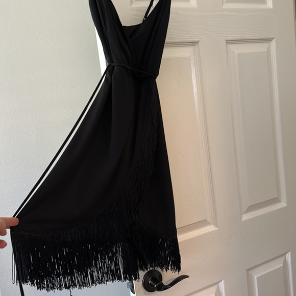 Beautiful flapper style dress with gorgeous fringe. - Picture 1 of 5